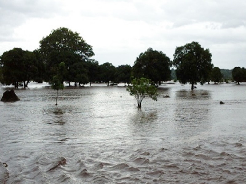 damage to crops on 2 lakh hectares due to Floods in the state | राज्यात पुरामुळे २ लाख हेक्टरवरील पिकांचे नुकसान