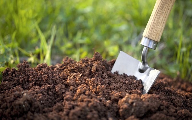 World Soil Day; Tremendous changes in soil testing | जागतिक मृदा दिवस; मृदा चाचणीतून शेतीत होतोय सकारात्मक बदल