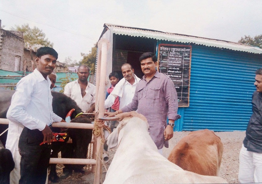 ... now 'Aadhar card' for the cattle. Lonar Panchayat Samiti campaign | ...आता दुधााळ जनावरांसाठीही ‘आधार कार्ड’; लोणार पंचायत समितीची मोहिम