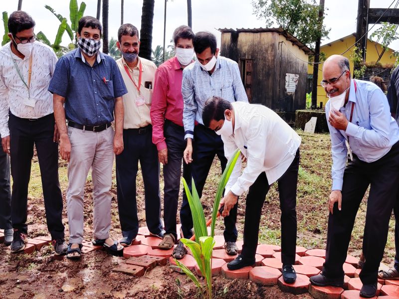 Vegetable cultivation in Goa increased by 5 times, declared by Agriculture minister on the occasion of world food day | गोव्यात भाजीच्या उत्पादनात पाच पटींनी वाढ; भातशेतीच्या बियाणांना दुप्पट मागणी- बाबू कवळेकर