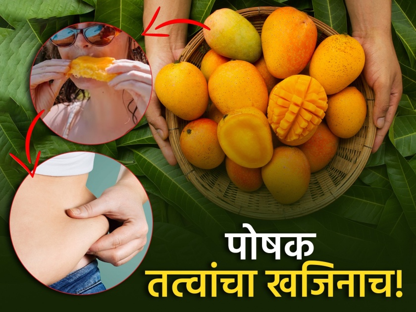 health tips mango increase weight and blood suger level or not know about benifits of eating mango  | आंबा खाल्याने वजन, रक्तातील साखर वाढते? जाणून घ्या नेमकं खरं काय