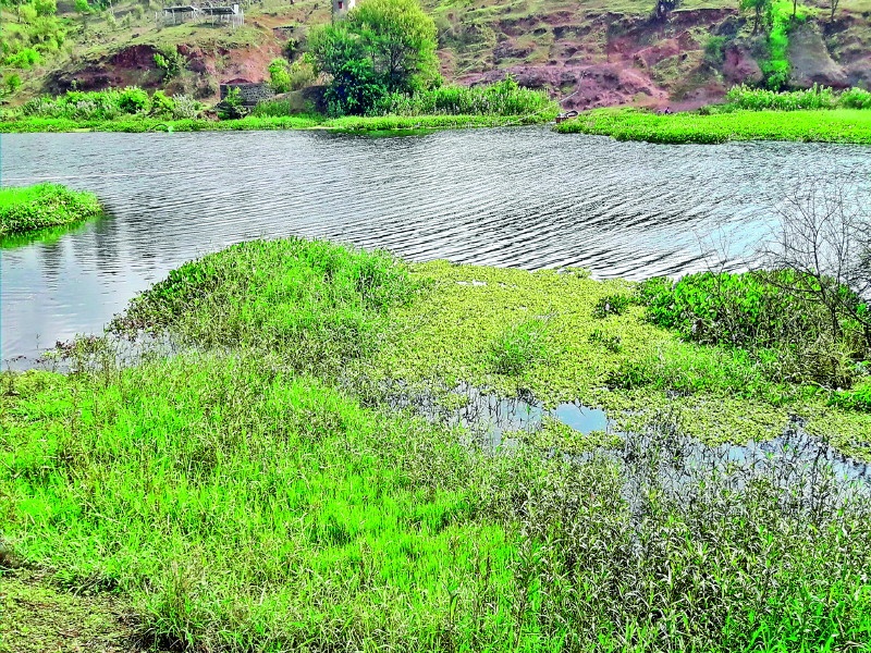 Increased pollution in the Indrayani river at Ambi: Administration ignored | आंबी येथे इंद्रायणी नदीमध्ये वाढले प्रदूषण : प्रशासनाचे दुर्लक्ष