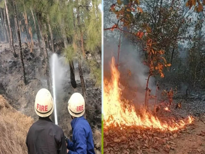 Forests are burning thousands of hectares of forest in mumbai aarey coloney have fallen prey to fire in the last month | जंगलांचे आरे की आगीचे आरे ?