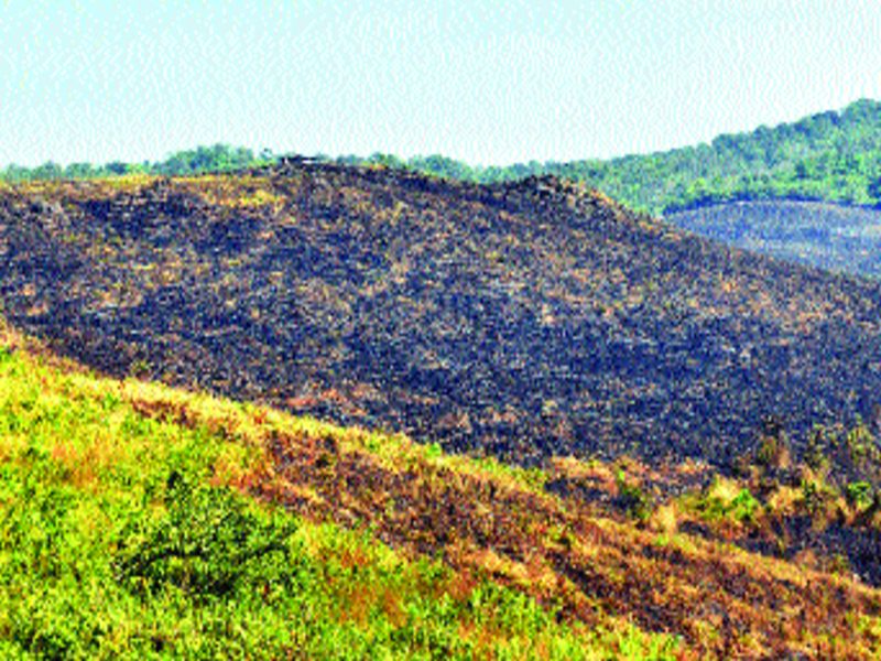  Fire brimmed fire to destroy forests | वनसंपदा नष्ट करण्यासाठी आरेत जंगलाला लावण्यात आली आग