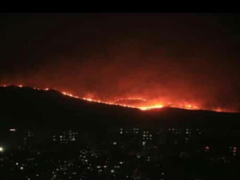 Aarey Milk Colony Fire Contoversy: Environmentalist Amrita Bhattacharya Has Alleged That Forest Is Being Destroyed By Setting Fire To It | आरे कॉलनी जंगलातील जमिनीसाठी आग लावल्याचा आरोप