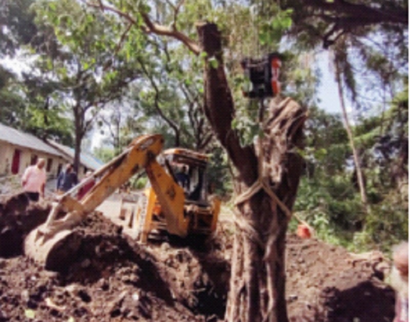 Uprooted trees replanted in Aarey, Environmentalists celebrate Environment Day in a unique way | उन्मळून पडलेल्या वृक्षांचे आरेमध्ये झाले पुनर्रोपण, पर्यावरणप्रेमींनी साजरा केला अनोख्या पद्धतीने पर्यावरण दिन