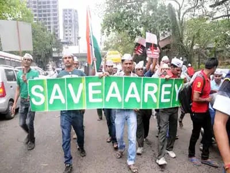 If trees are cut down in Aare, Mumbai will be - yes! | आरेत वृक्षतोड केल्यास मुंबईचा होईल -हास!