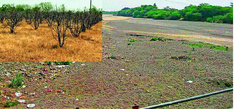 Atapadi 3 times during drought cycle | आटपाडी २३ वेळा दुष्काळाच्या फेऱ्यात; निसर्गाच्या सततच्या अवकृपेने दुष्काळग्रस्त हैराण