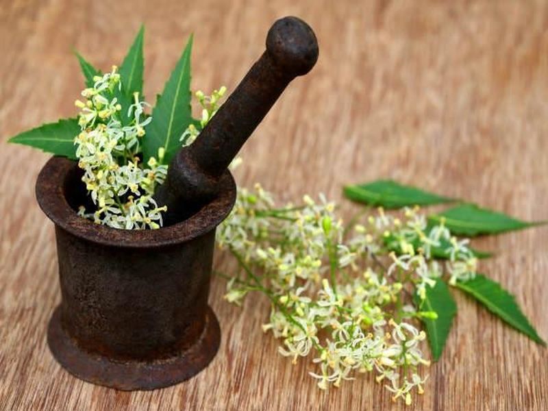 These herbs are very beneficial for skin problems | आजीबाईच्या बटव्यातील हे आयुर्वेदिक उपाय; त्वचेचं तारूण्य टिकवण्यासाठी फायदेशीर!