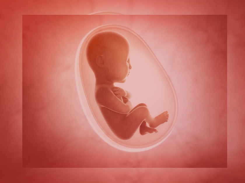 girl fetus sprouted in the womb; The gender ratio in 22 districts decreased, including Health Minister Dharashiv | गर्भातच खुडल्या कळ्या; आरोग्य मंत्र्यांच्या धाराशिवसह २२ जिल्ह्यांतील लिंग गुणाेत्तर घटले