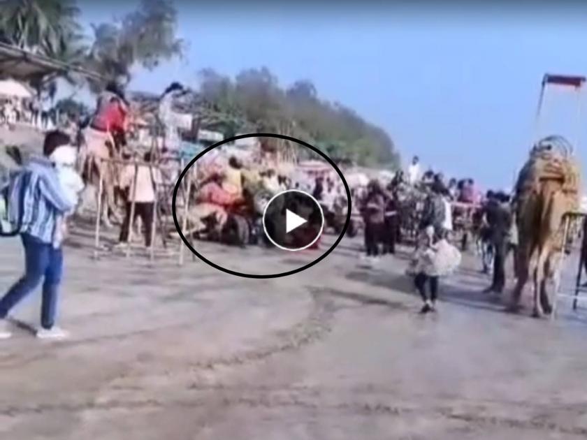 ATV bike hits camel on Alibag beach, video of accident goes viral | अलिबाग समुद्र किनारी एटीव्ही बाईक धडकली उंटावर, अपघाताचा Video झाला व्हायरल