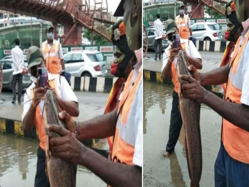 Twitter post photo of fish caught from waterlogged road as Bengaluru turns into a water world due to rain | पावसामुळे रस्ते झाले जलमय; वाहतूक कोंडीत अडकलेल्या व्यक्तीनं चक्क मासा पकडला