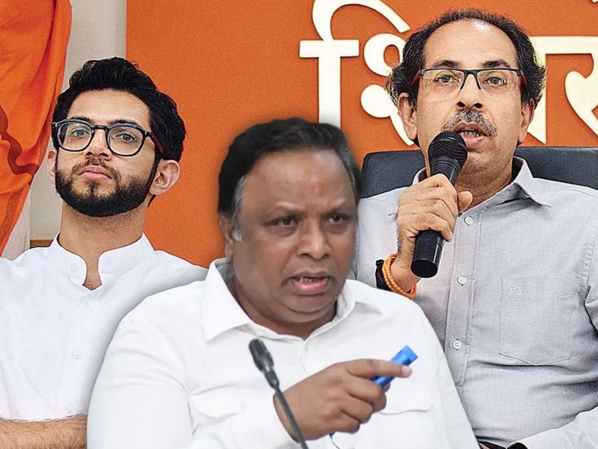 Lok Sabha Elections - BJP leader Ashish Shelar targets Uddhav Thackeray and Aditya Thackeray | २०१४ च्या निवडणुकीत युती आदित्य ठाकरेंमुळे तुटली; भाजपा नेते आशिष शेलारांचा दावा