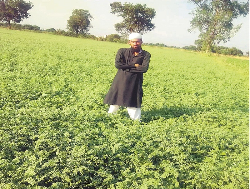 The young farmer got increased income from Kabuli Chana by replacing sugarcane crop | युवा शेतकऱ्याने ऊस शेतीला फाटा देत काबुली हरभऱ्यातून मिळवले भरघोस उत्पन्न 