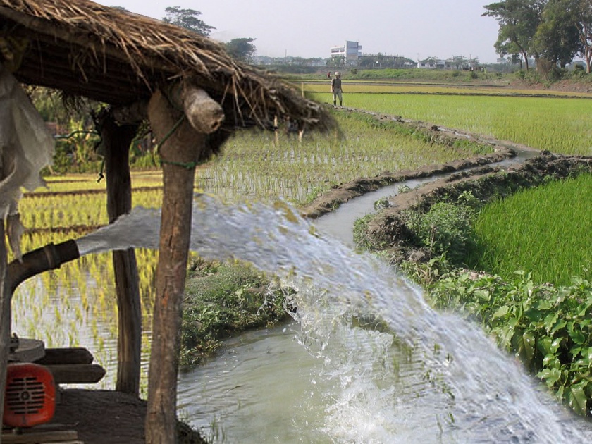 How far did agriculture pump backlog remove in Vidarbha? | विदर्भात कृषीपंप अनुशेष किती प्रमाणात दूर केला?