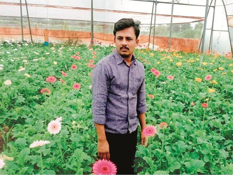 Graduates leave government jobs and set Hi-tech flower farming idol | पदवीधराने सरकारी नोकरी सोडून हायटेक फुलशेतीचा ठेवला आदर्श