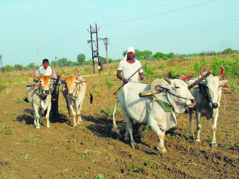 Parbhani: Launching the Agricultural Producer in 84 Villages | परभणी : कृषी उत्पादकतेला ८४ गावांत चालना