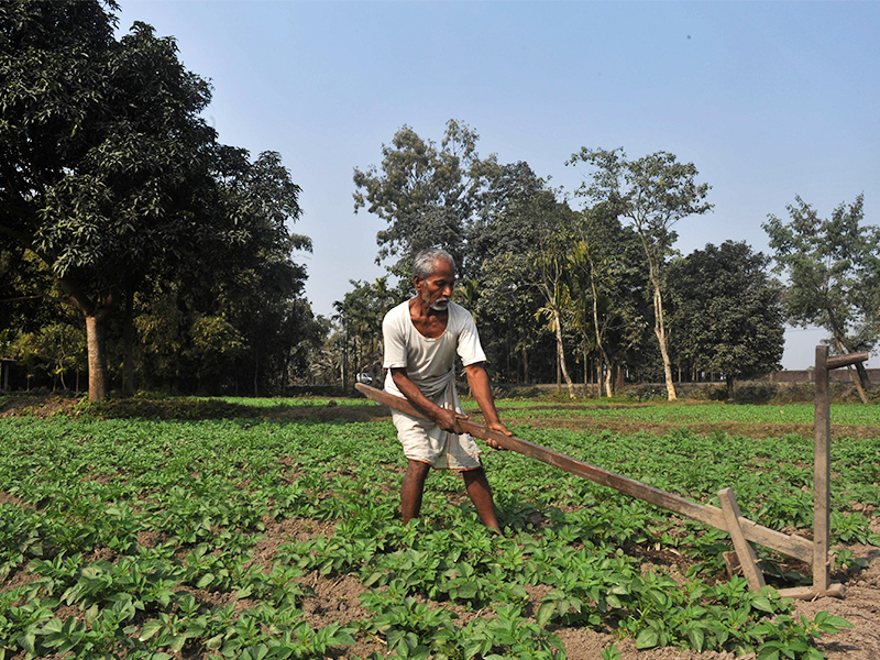 During the Modi era, agriculture sector's lending rate was lower | मोदींच्या काळात कृषी क्षेत्राची कर्जवृद्धी नीचांकावर
