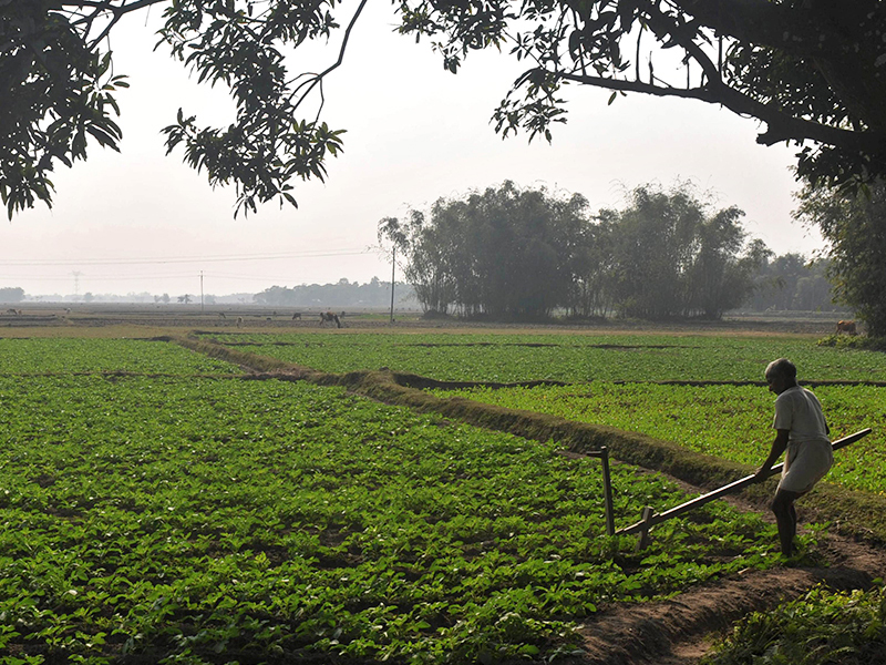 Hingoli Agriculture Department has spent 11.5 crore on micro irrigation | हिंगोली कृषी विभागामार्फत सूक्ष्म सिंचनावर ११.५ कोटी खर्च