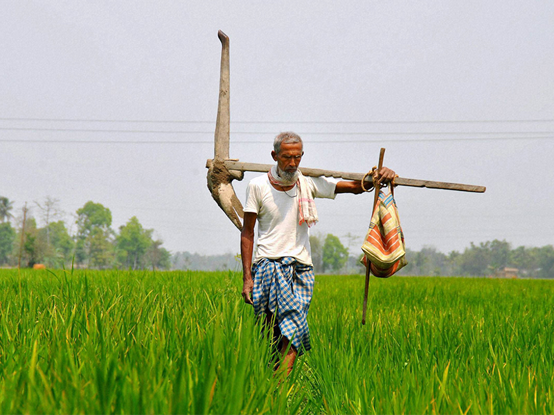 Climate based agriculture will be in 406 villages | जिल्ह्यात ४०६ गावांत होणार हवामानावर आधारित शेती
