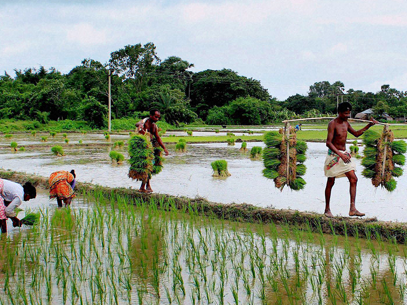 union minister narendra singh tomer planning to give 2 lakh farmers benefits under cold chain packaging policy | खुशखबर! 15000 लोकांना सरकार देणार रोजगार, 2 लाख शेतकर्‍यांना होणार फायदा, जाणून घ्या...