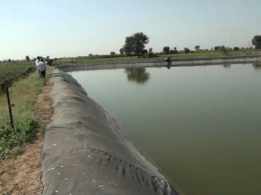 Only 763 agriculture lakes work has been done in Washim district | वाशिम जिल्ह्यात केवळ ७६३ शेततळी पूर्ण !
