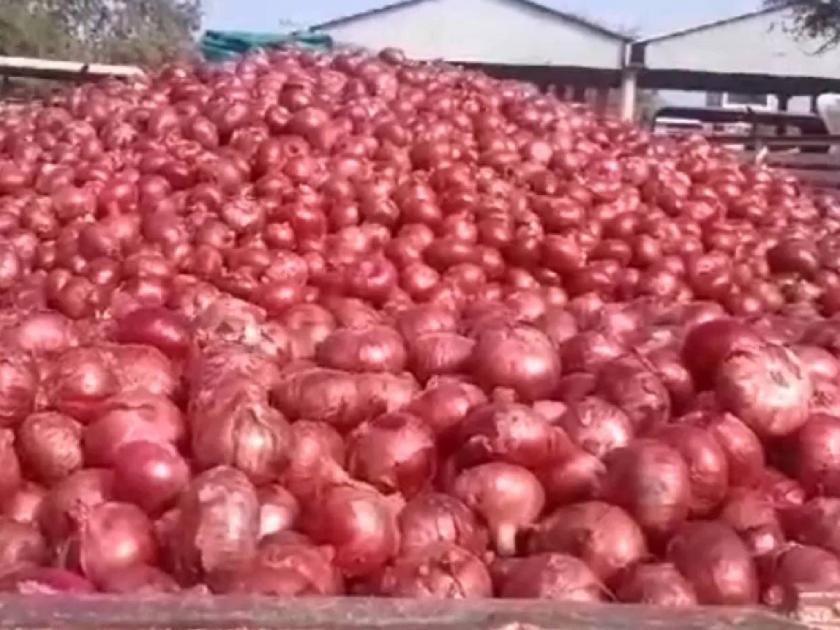 Agralekh on Onion Export Policy | कांद्याची फसवी फाेडणी; सरकारचे शेतमाल निर्यातीचे धाेरण नेहमीच ग्राहकहिताचे