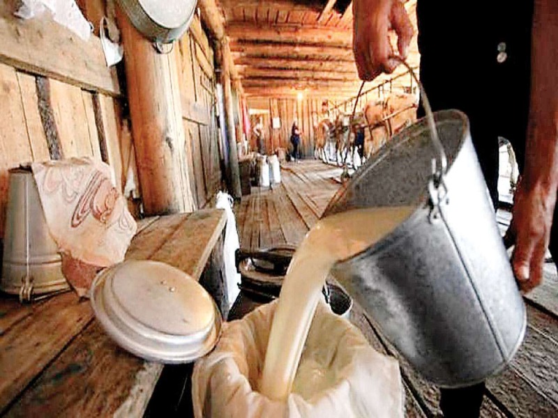 Milk sale at Rs 100 per liter from March 1; Farmers' decision | १ मार्चपासून १०० रुपये लिटर दराने दूधविक्री; शेतकऱ्यांचा निर्णय