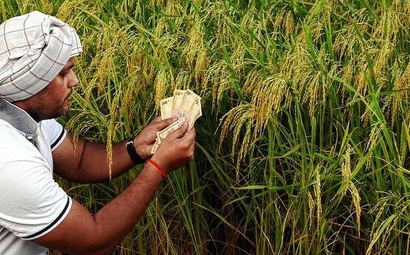 36.79 crore aid distributed to farmers! | शेतकऱ्यांसाठी ३६.७९ कोटींची मदत वितरित!