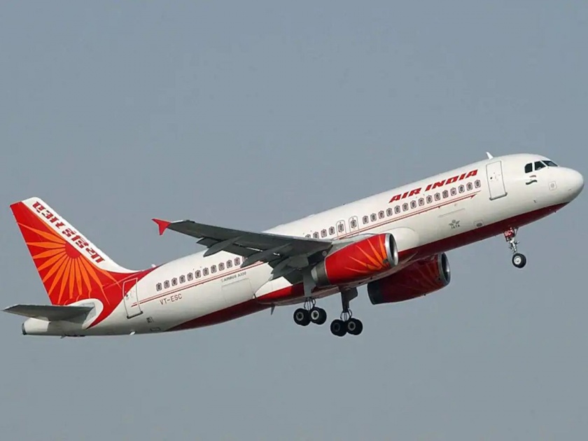 Panic on board Delhi Goa Air india flight after passenger claims presence of terrorists on plane | विमान हवेत असताना 'तो' अचानक उठला, विमानात दहशतवादी असल्याचं म्हणत ओरडू लागला अन्...