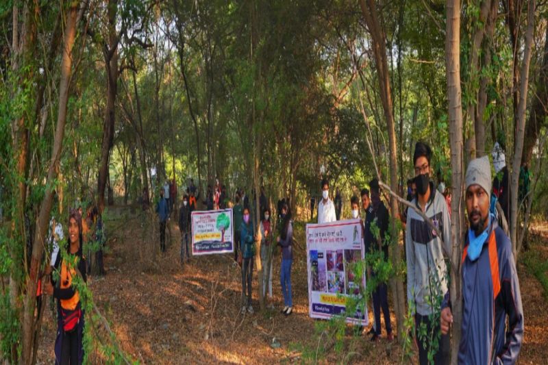 New Tree Act bans Ajni IMS project | नव्या वृक्ष कायद्याने अजनी आयएमएस प्रकल्पाला पायबंद 