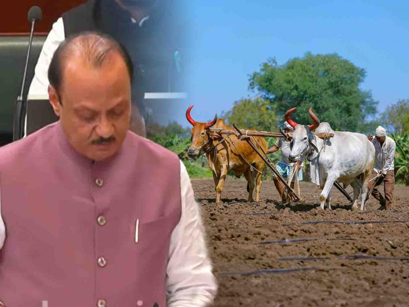 budget 2024 big news for farmers Ajit Pawar announced 10 schemes | शेतकऱ्यांसाठी घोषणांचा पाऊस; अजित पवारांकडून बळीराजाला दिलासा देण्यासाठी अनेक योजना जाहीर