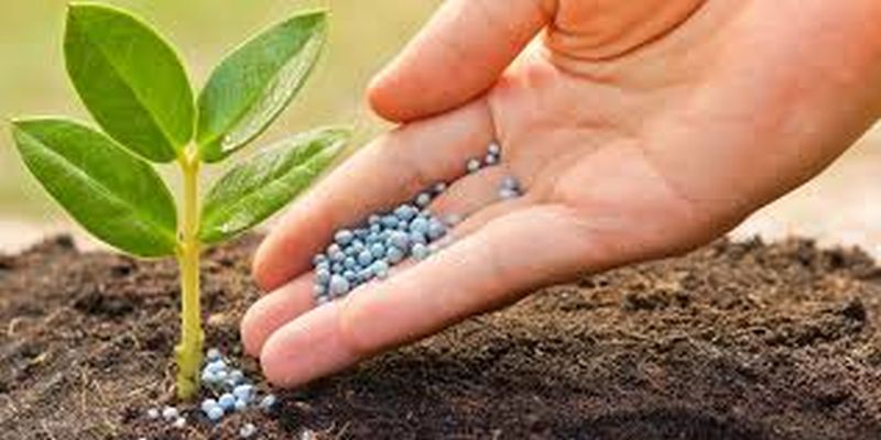 Fertilizers, seeds will be delivered to farmers! | शेतकऱ्यांना खते, बियाणे घरपोच देणार!