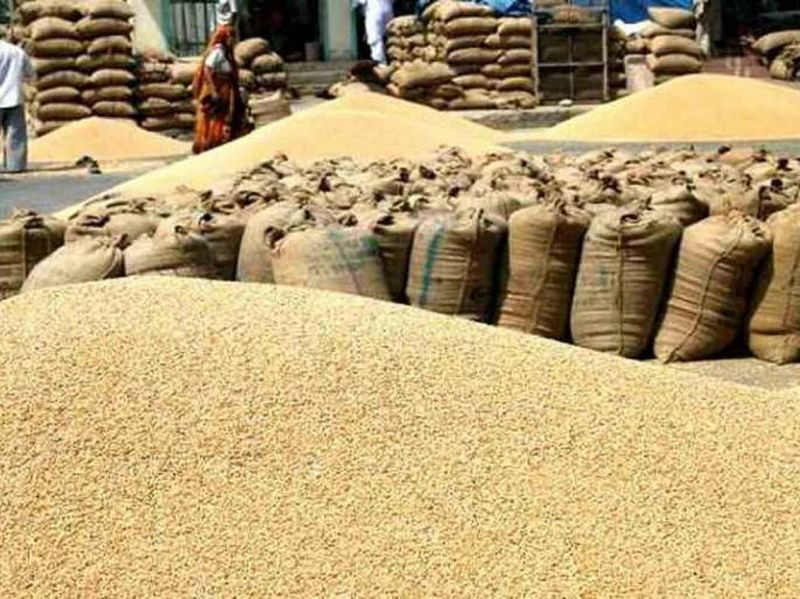 Soybean prices fall by 300 rupees! | सोयाबीनचे दर ३०० रुपयांनी गडगडले!