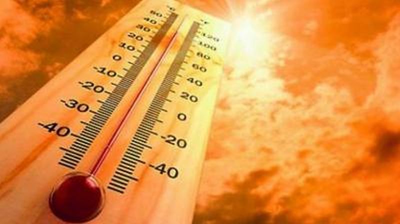 Sunburn on the first day of Navatapa; Akola has the highest temperature in the state | नवतपाच्या पहिल्याच दिवशी उन्हाचा तडाखा; राज्यात अकोल्याचे तापमान सर्वाधिक
