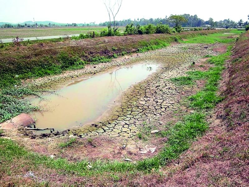 Akola: 63 river-drain crevices will be removed from the people! | अकोला : ६३ नदी-नाल्यांतील गाळ लोकसहभागातून काढणार!