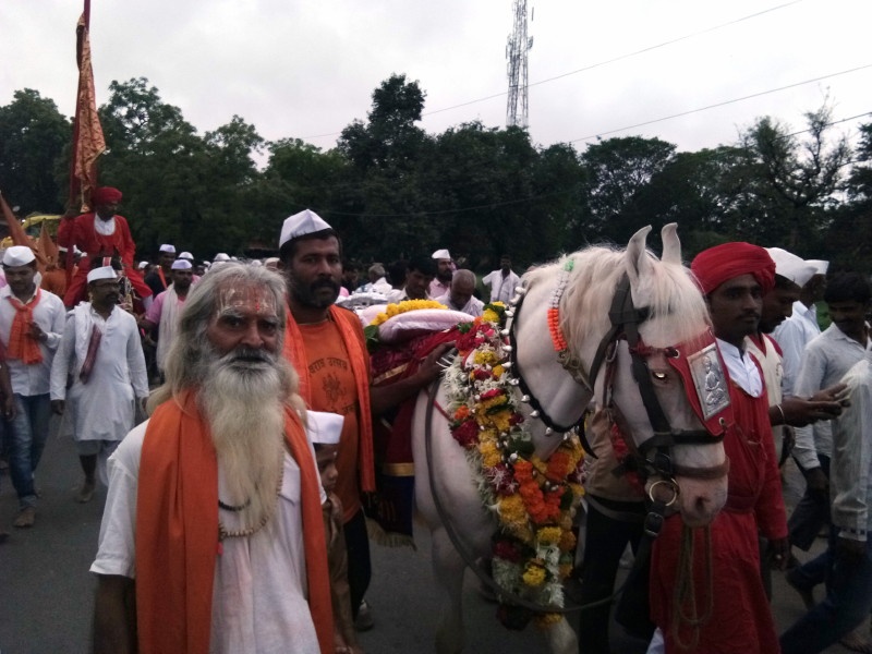 shrees horse reached to alandi | श्रींचे अश्व अलंकापुरीत दाखल ; माउली मंदिरात अश्वांचे स्वागत