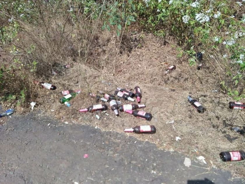 Public disclosure of public alcohol abuse in Goa | गोव्यात सार्वजनिक ठिकाणी मद्यपान बंदीचे उघड उल्लंघन