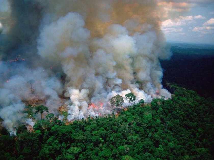 Amazon rainforest fire: Lungs of our planet burning with 99% fires started by humans | Amazon Rainforest Fire : जगातील सर्वात घनदाट जंगलाला भीषण आग