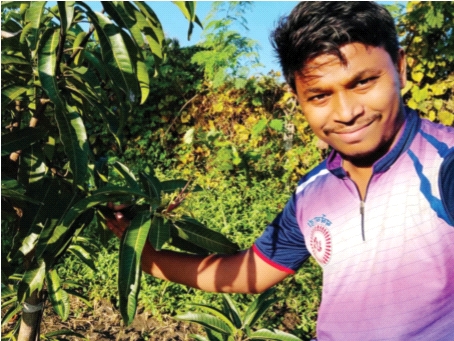 Seal the mango before the season | हंगामापूर्वीच आंब्याला मोहर, बागायतदारांना आर्थिक फायदा