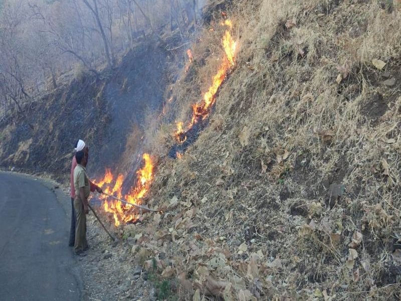 Amravati : Release of 'Red Alert' in forest department, forest rescue campaign in collaboration with citizens | राज्यातील वनविभागात 'रेड अलर्ट' जारी,  नागरिकांच्या सहकार्याने जंगल बचाव मोहीम 