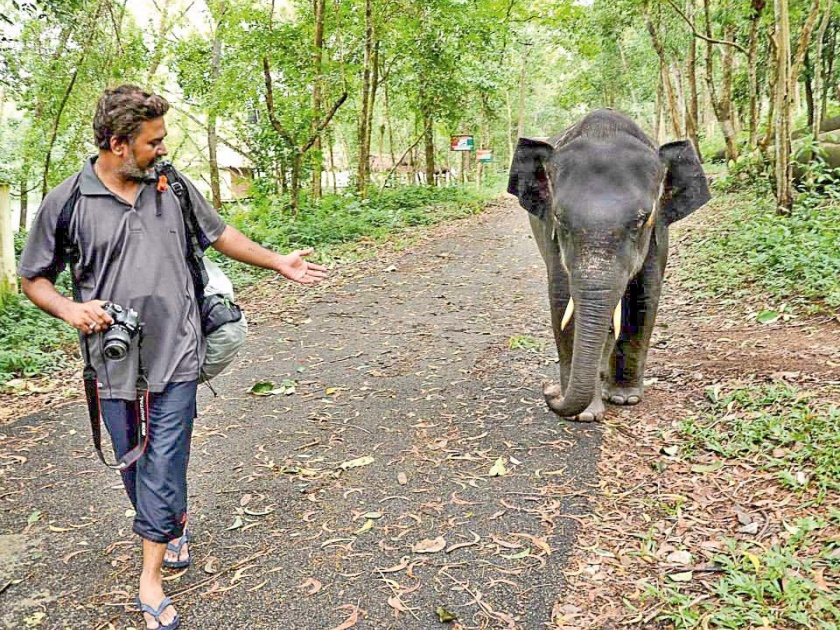 The joy of speaking with the elephants | हत्तींशी बोलणारा आनंद