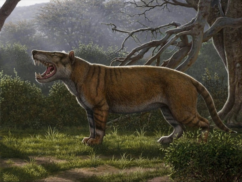 Researchers discover ancient giant lion in Kenya South Africa | अरे बापरे ! १५०० किलो वजनाच्या वाघाचा सापडला सांगाडा!