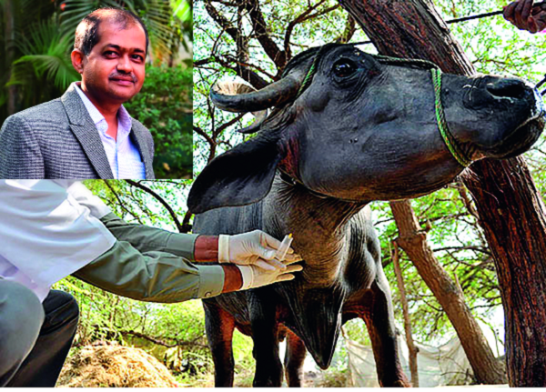 Free check-up every month ... Sanjeev Gokhale's venture ... app for the treatment of animals | दरमहा मोफत तपासण्या... संजीव गोखले यांचा उपक्रम...जनावरांवरील उपचारासाठी अ‍ॅप