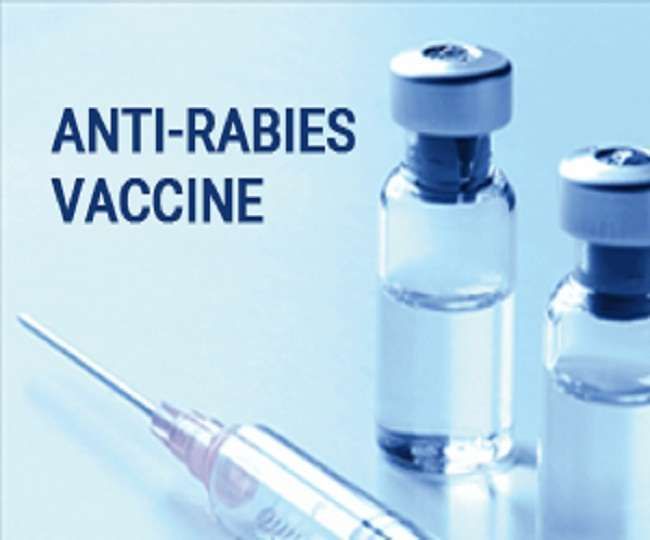 'Anti Rabies' vaccine will be available in 14 hospitals now | आता १४ दवाखान्यात मिळणार ‘अ‍ॅण्टी रॅबीज’ लस