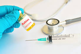  Unable to supply anti-rabies vaccine, the firm is in trouble! | अँटी रॅबिज लस पुरवठा न केल्याने फर्म अडचणीत!