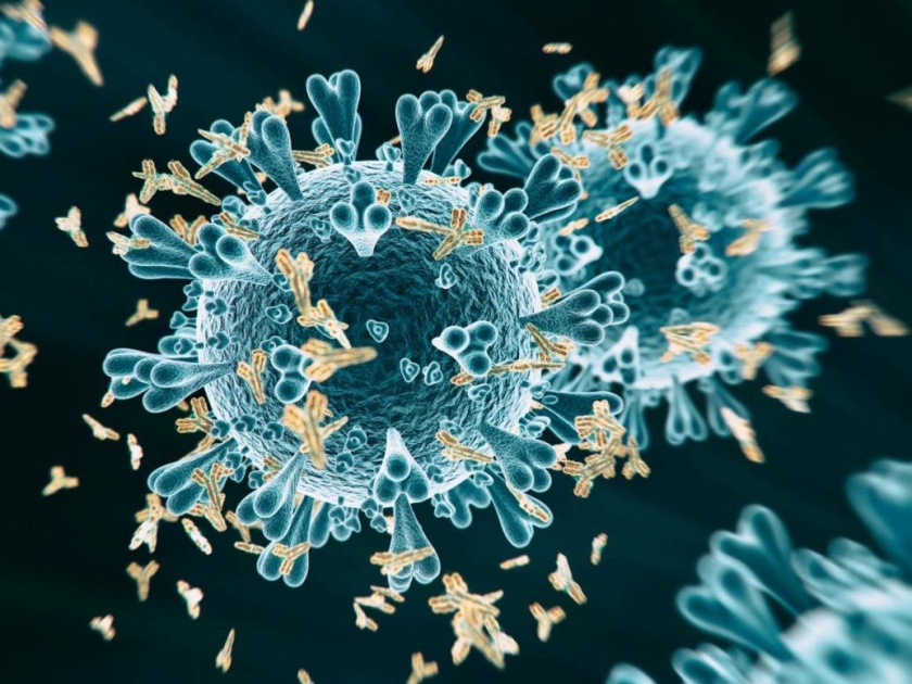 coronavirus: More antibodies in the body of men than women | coronavirus: महिलांच्या तुलनेत पुरुषांच्या शरीरात निर्माण होताहेत अधिक अँटीबॉडी