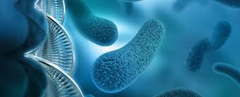 Increased risk of antimicrobial resistance | अँटिमायक्रोबिअल रेजिस्टन्सचा वाढता धोका
