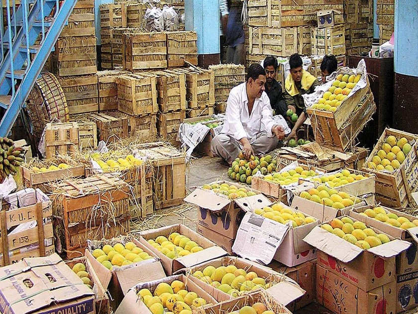 Americans, Europeans, along with the Gulf countries are also in love with mangoes; 602 tonnes exported from APMC | आखाती देशांसह अमेरिकन, युरोपीयनही आंब्याच्या प्रेमात; APMC तून ६०२ टन निर्यात