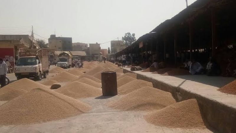 Farmers crop not get MSP in Washim district | शेतमाल हमीभावाच्या नियमाला कोलदांडा !